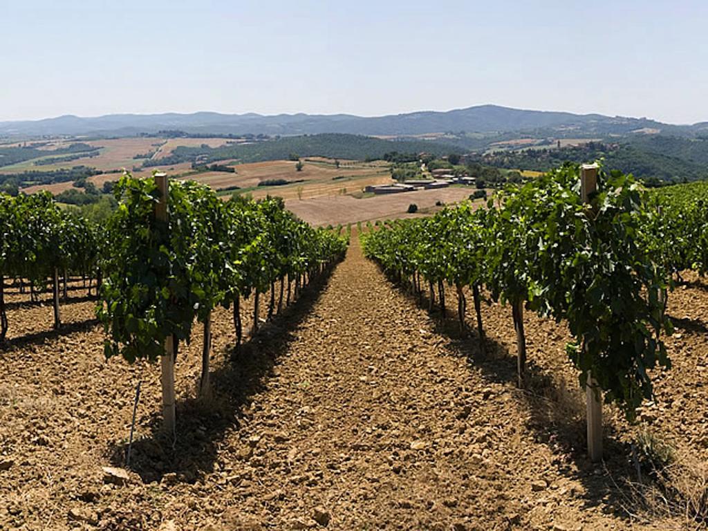 Podere Schioppello Casale Con Appartamenti Privati Cibottola Ngoại thất bức ảnh