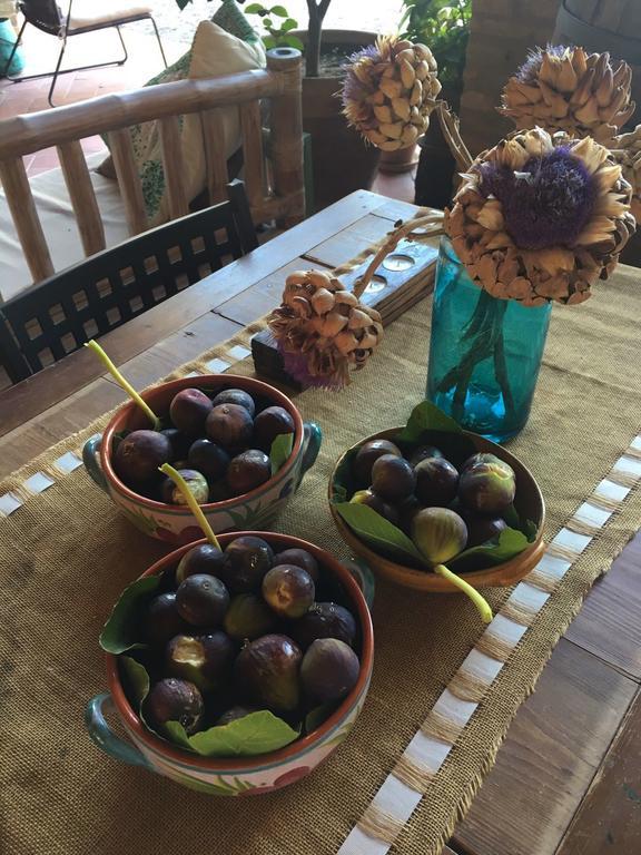 Podere Schioppello Casale Con Appartamenti Privati Cibottola Ngoại thất bức ảnh